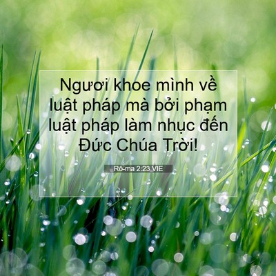 Picture 07 - Rô-ma 2:23 VIE - Ngươi khoe mình về luật pháp mà bởi - Bible Verse Picture