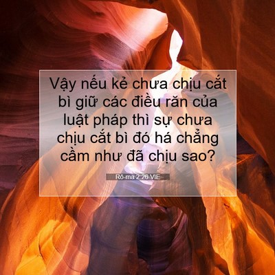 Picture 07 - Rô-ma 2:26 VIE - Vậy nếu kẻ chưa chịu cắt bì giữ - Bible Verse Picture