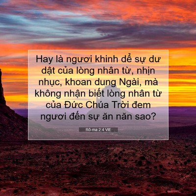Picture 07 - Rô-ma 2:4 VIE - Hay là ngươi khinh dể sự dư dật của - Bible Verse Picture