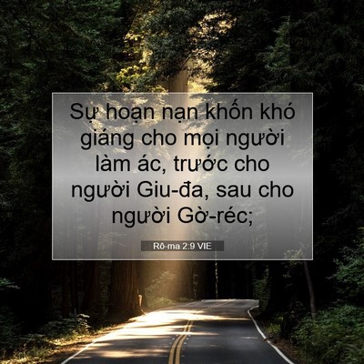 Picture 07 - Rô-ma 2:9 VIE - Sự hoạn nạn khốn khó giáng cho mọi - Bible Verse Picture
