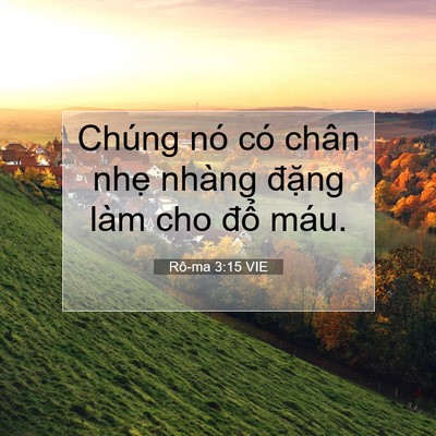 Picture 07 - Rô-ma 3:15 VIE - Chúng nó có chân nhẹ nhàng đặng làm - Bible Verse Picture