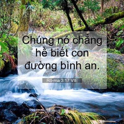 Picture 07 - Rô-ma 3:17 VIE - Chúng nó chẳng hề biết con đường - Bible Verse Picture