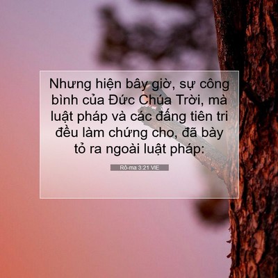 Picture 07 - Rô-ma 3:21 VIE - Nhưng hiện bây giờ, sự công bình của - Bible Verse Picture