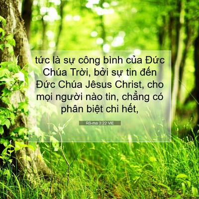 Picture 07 - Rô-ma 3:22 VIE - tức là sự công bình của Đức Chúa - Bible Verse Picture