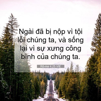 Picture 07 - Rô-ma 4:25 VIE - Ngài đã bị nộp vì tội lỗi chúng ta, - Bible Verse Picture