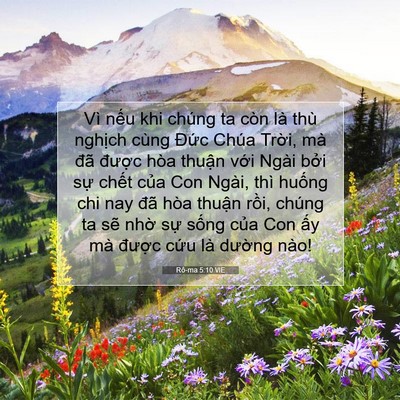 Picture 07 - Rô-ma 5:10 VIE - Vì nếu khi chúng ta còn là thù nghịch - Bible Verse Picture