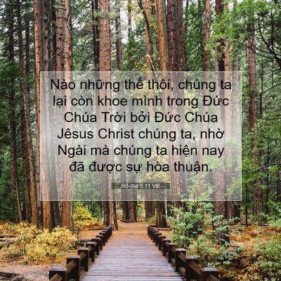 Picture 07 - Rô-ma 5:11 VIE - Nào những thế thôi, chúng ta lại còn - Bible Verse Picture