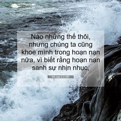 Picture 07 - Rô-ma 5:3 VIE - Nào những thế thôi, nhưng chúng ta cũng - Bible Verse Picture