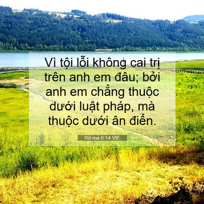 Picture 07 - Rô-ma 6:14 VIE - Vì tội lỗi không cai trị trên anh em - Bible Verse Picture