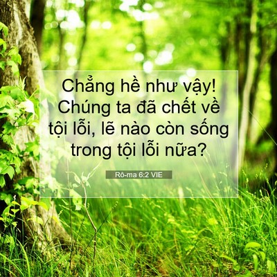 Picture 07 - Rô-ma 6:2 VIE - Chẳng hề như vậy! Chúng ta đã chết - Bible Verse Picture