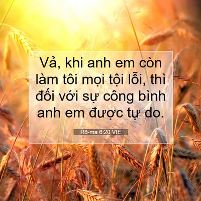 Picture 07 - Rô-ma 6:20 VIE - Vả, khi anh em còn làm tôi mọi tội - Bible Verse Picture