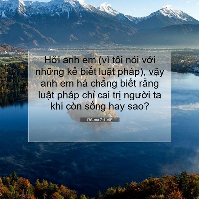 Picture 07 - Rô-ma 7:1 VIE - Hỡi anh em (vì tôi nói với những kẻ - Bible Verse Picture