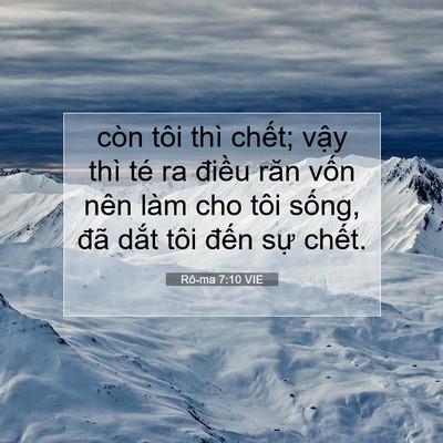 Picture 07 - Rô-ma 7:10 VIE - còn tôi thì chết; vậy thì té ra điều - Bible Verse Picture
