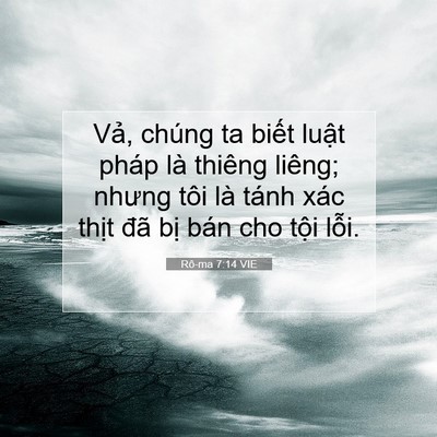 Picture 07 - Rô-ma 7:14 VIE - Vả, chúng ta biết luật pháp là thiêng - Bible Verse Picture