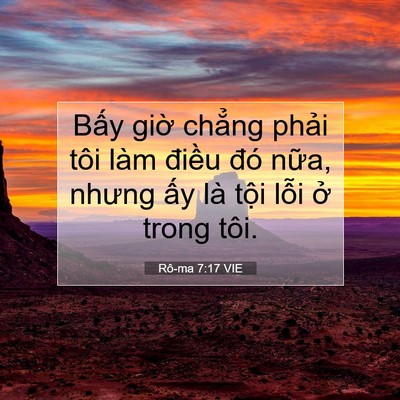Picture 07 - Rô-ma 7:17 VIE - Bấy giờ chẳng phải tôi làm điều đó - Bible Verse Picture