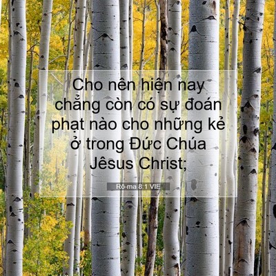 Picture 07 - Rô-ma 8:1 VIE - Cho nên hiện nay chẳng còn có sự đoán - Bible Verse Picture