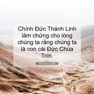 Picture 07 - Rô-ma 8:16 VIE - Chính Đức Thánh Linh làm chứng cho lòng - Bible Verse Picture