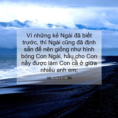 Picture 07 - Rô-ma 8:29 VIE - Vì những kẻ Ngài đã biết trước, thì - Bible Verse Picture