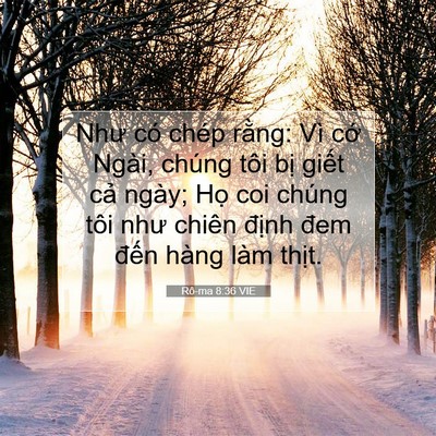 Picture 07 - Rô-ma 8:36 VIE - Như có chép rằng: Vì cớ Ngài, chúng - Bible Verse Picture