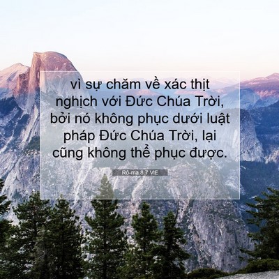 Picture 07 - Rô-ma 8:7 VIE - vì sự chăm về xác thịt nghịch với - Bible Verse Picture