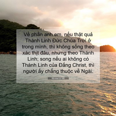 Picture 07 - Rô-ma 8:9 VIE - Về phần anh em, nếu thật quả Thánh - Bible Verse Picture
