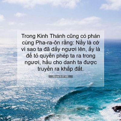 Picture 07 - Rô-ma 9:17 VIE - Trong Kinh Thánh cũng có phán cùng - Bible Verse Picture