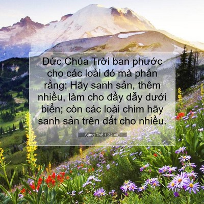 Picture 07 - Sáng Thế 1:22 VIE - Đức Chúa Trời ban phước cho các loài - Bible Verse Picture