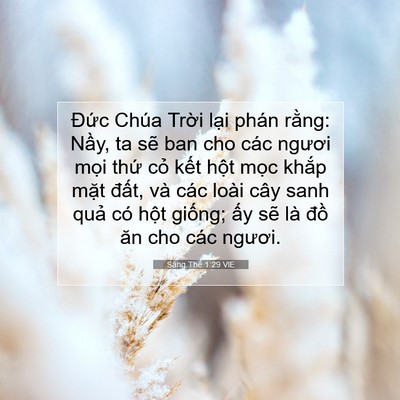 Picture 07 - Sáng Thế 1:29 VIE - Đức Chúa Trời lại phán rằng: Nầy, ta - Bible Verse Picture