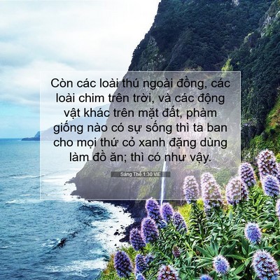 Picture 07 - Sáng Thế 1:30 VIE - Còn các loài thú ngoài đồng, các loài - Bible Verse Picture