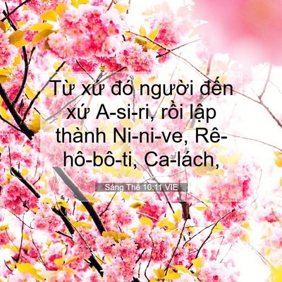 Picture 07 - Sáng Thế 10:11 VIE - Từ xứ đó người đến xứ A-si-ri, - Bible Verse Picture