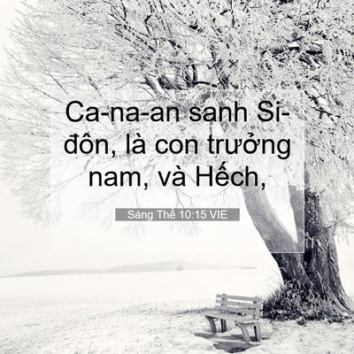 Picture 07 - Sáng Thế 10:15 VIE - Ca-na-an sanh Si-đôn, là con trưởng nam, - Bible Verse Picture