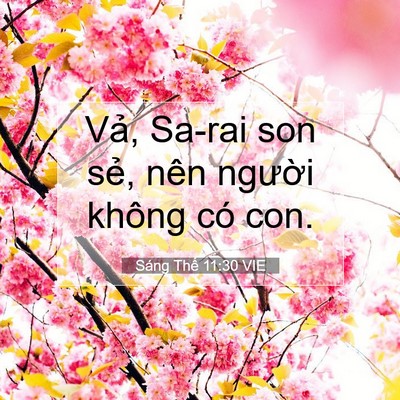 Picture 07 - Sáng Thế 11:30 VIE - Vả, Sa-rai son sẻ, nên người không có - Bible Verse Picture