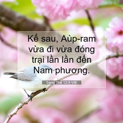 Picture 07 - Sáng Thế 12:9 VIE - Kế sau, Aùp-ram vừa đi vừa đóng trại - Bible Verse Picture
