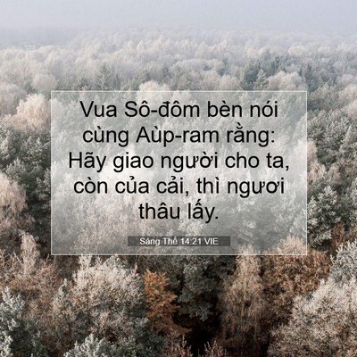 Picture 07 - Sáng Thế 14:21 VIE - Vua Sô-đôm bèn nói cùng Aùp-ram rằng: - Bible Verse Picture