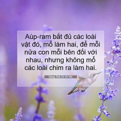 Picture 07 - Sáng Thế 15:10 VIE - Aùp-ram bắt đủ các loài vật đó, mổ - Bible Verse Picture