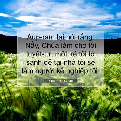 Picture 07 - Sáng Thế 15:3 VIE - Aùp-ram lại nói rằng: Nầy, Chúa làm cho - Bible Verse Picture