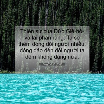 Picture 07 - Sáng Thế 16:10 VIE - Thiên sứ của Đức Giê-hô-va lại phán - Bible Verse Picture