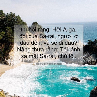 Picture 07 - Sáng Thế 16:8 VIE - thì hỏi rằng: Hỡi A-ga, đòi của - Bible Verse Picture