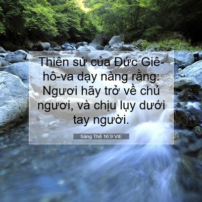 Picture 07 - Sáng Thế 16:9 VIE - Thiên sứ của Đức Giê-hô-va dạy nàng - Bible Verse Picture