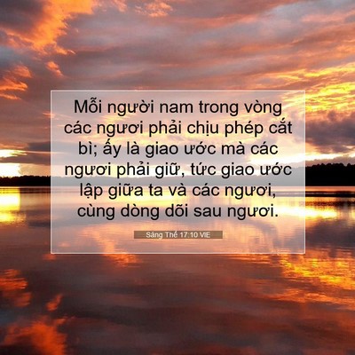 Picture 07 - Sáng Thế 17:10 VIE - Mỗi người nam trong vòng các ngươi - Bible Verse Picture