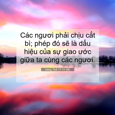 Picture 07 - Sáng Thế 17:11 VIE - Các ngươi phải chịu cắt bì; phép đó - Bible Verse Picture