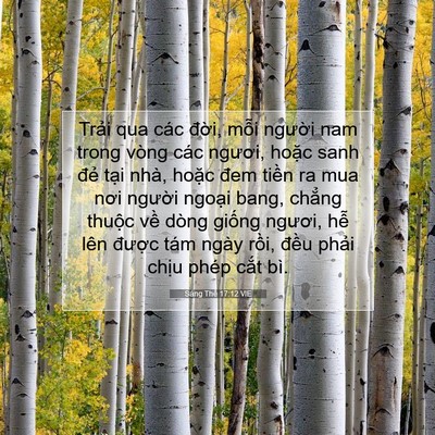 Picture 07 - Sáng Thế 17:12 VIE - Trải qua các đời, mỗi người nam trong - Bible Verse Picture