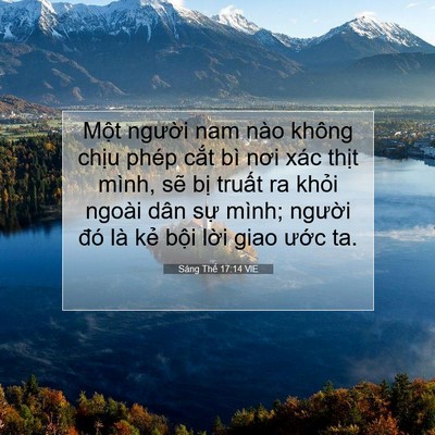 Picture 07 - Sáng Thế 17:14 VIE - Một người nam nào không chịu phép cắt - Bible Verse Picture