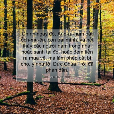 Picture 07 - Sáng Thế 17:23 VIE - Chính ngày đó, Aùp-ra-ham bắt - Bible Verse Picture