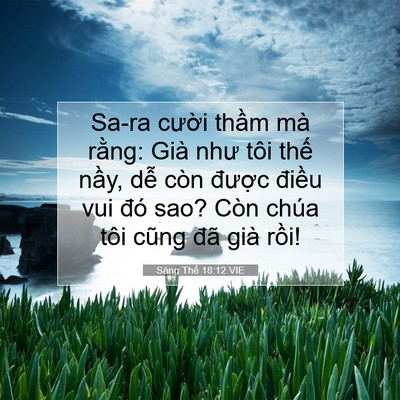 Picture 07 - Sáng Thế 18:12 VIE - Sa-ra cười thầm mà rằng: Già như tôi - Bible Verse Picture