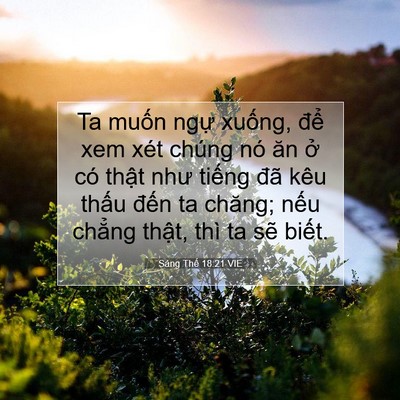 Picture 07 - Sáng Thế 18:21 VIE - Ta muốn ngự xuống, để xem xét chúng - Bible Verse Picture