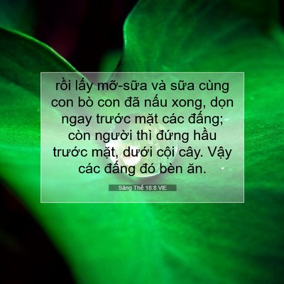 Picture 07 - Sáng Thế 18:8 VIE - rồi lấy mỡ-sữa và sữa cùng con bò - Bible Verse Picture