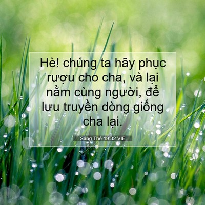 Picture 07 - Sáng Thế 19:32 VIE - Hè! chúng ta hãy phục rượu cho cha, và - Bible Verse Picture