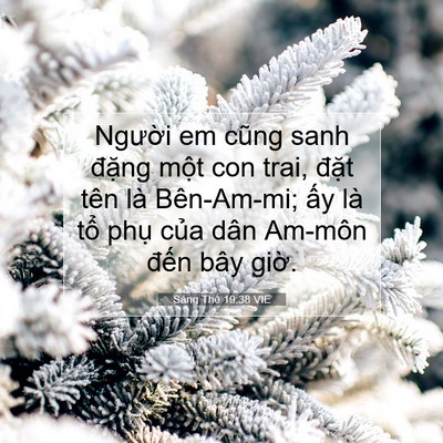 Picture 07 - Sáng Thế 19:38 VIE - Người em cũng sanh đặng một con trai, - Bible Verse Picture