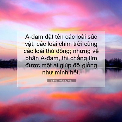 Picture 07 - Sáng Thế 2:20 VIE - A-đam đặt tên các loài súc vật, các - Bible Verse Picture